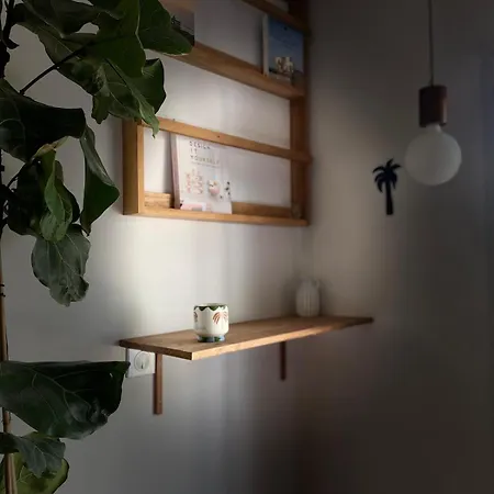 Between Forest And Ocean
